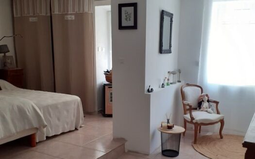Vente maison de ville