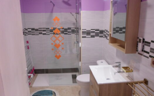 T1 bis meuble + loue